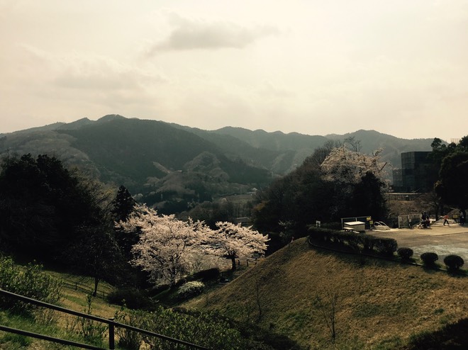 inaka