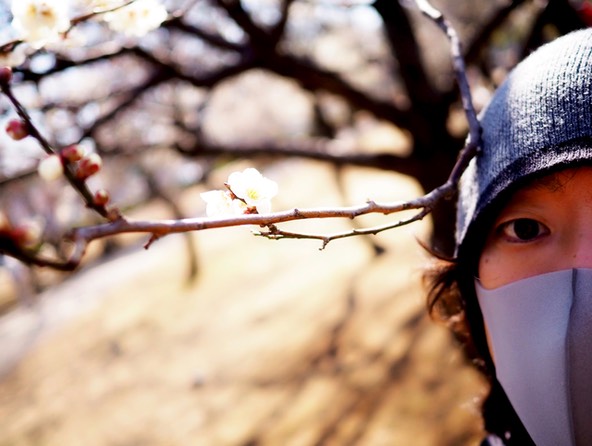 Plum.blog